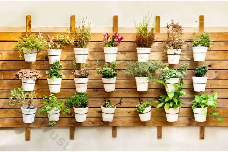 How to Grow a Indoor Herb Garden?: A Step-by-Step Guide