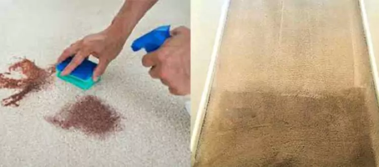 Carpet Cleaning vs. DIY: Why Professional Services Are the Better Choice