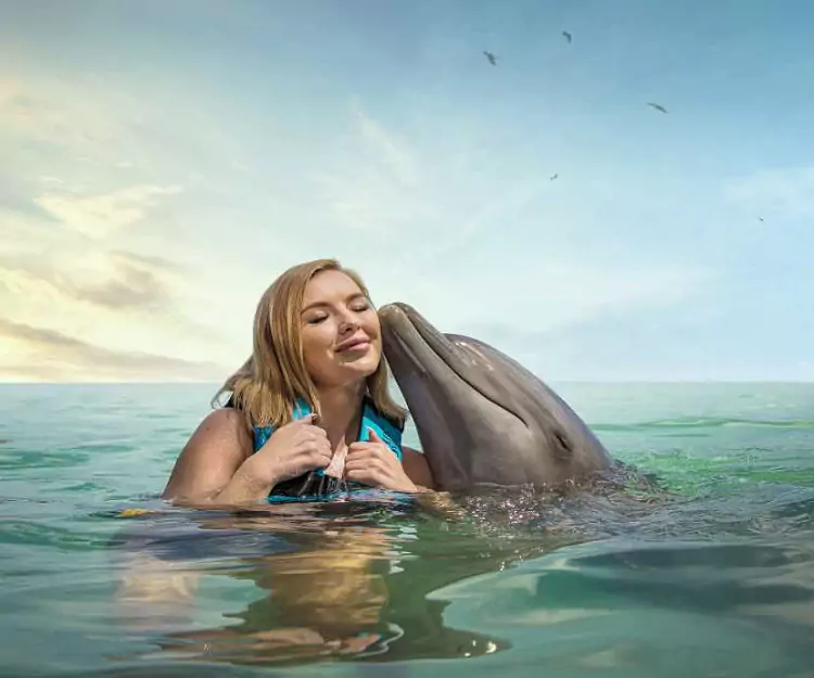 Dolphin Cove: Exploring Jamaica’s Aquatic Paradise