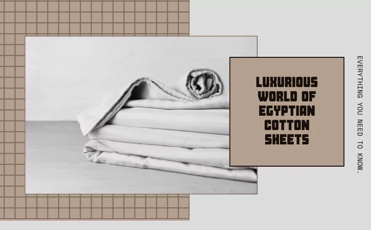 Luxurious World of Egyptian Cotton Sheets: A Comprehensive Guide